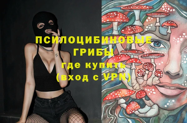 гидропоника Алзамай