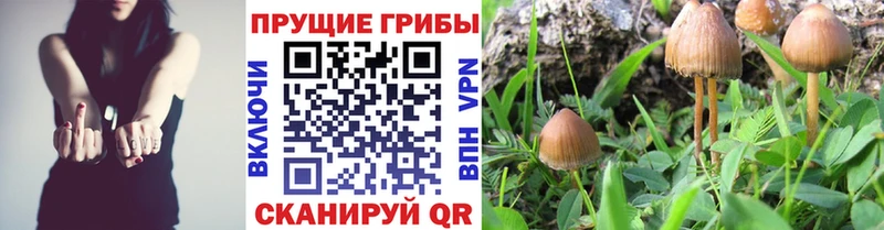Галлюциногенные грибы GOLDEN TEACHER  hydra зеркало  Миллерово 